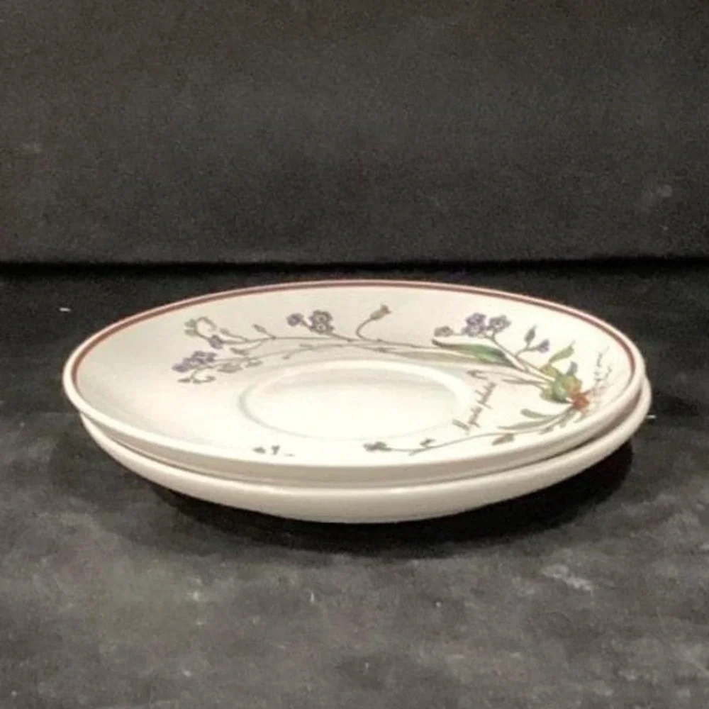 Villeroy & Boch Botanica Teacup and Saucers, Set of 2, Vintage Botanical Design